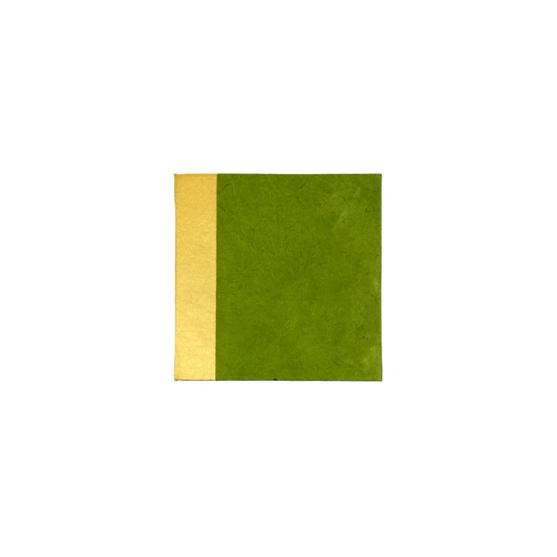 précieux carnet en papier lokta précieux carnet en papier lokta