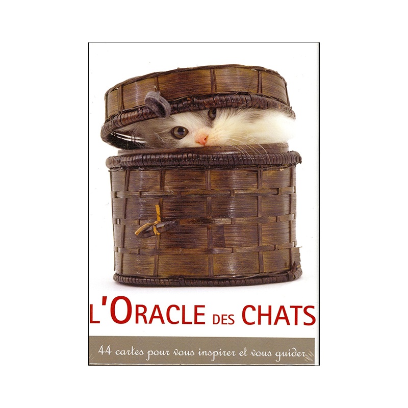 l'oracle des chats l'oracle des chats