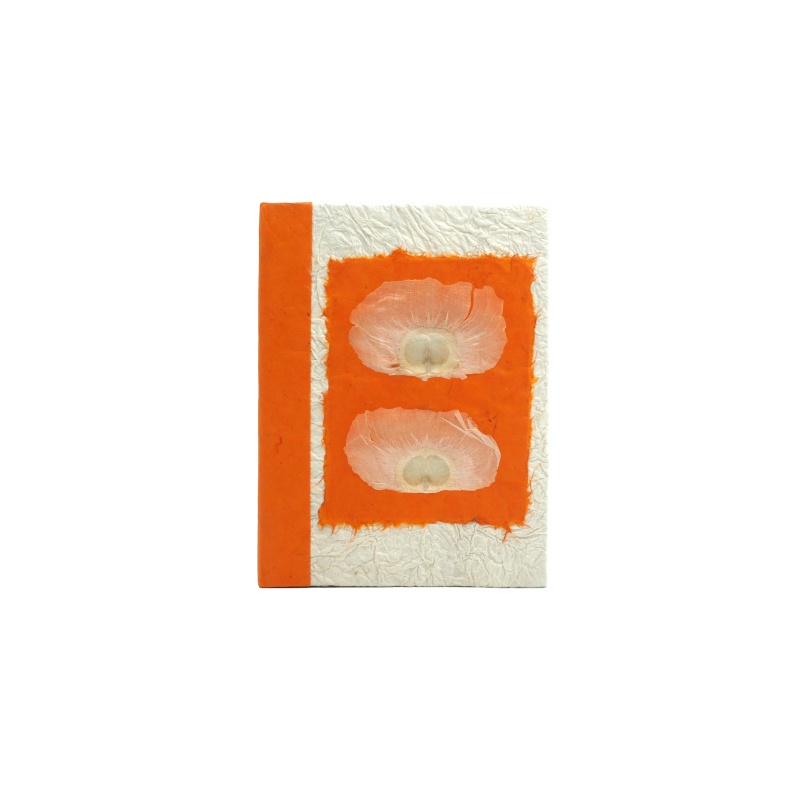 Livret pour souvenirs papier lokta naturel A5 Livret pour souvenirs papier lokta naturel A5