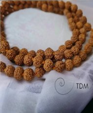 Mala Rudraksha Véritable -...