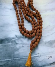 Mala Rudraksha Véritable -...