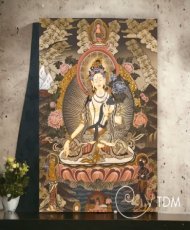 Tara Blanche Master Qualité