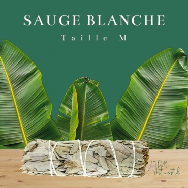 Sauge blanche Amérindienne