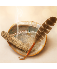 Coquille d’Ormeau pour Fumigation – Support Rituel Amérindien | Purification & Encens