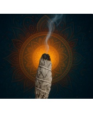 Sauge Blanche Amérindienne de Californie – Purification & Rituel | Encens Naturel
