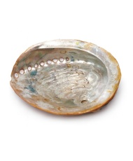 Kit de Purification – Sauge Blanche, Sauge du Désert, Palo Santo & Coquille d’Ormeau