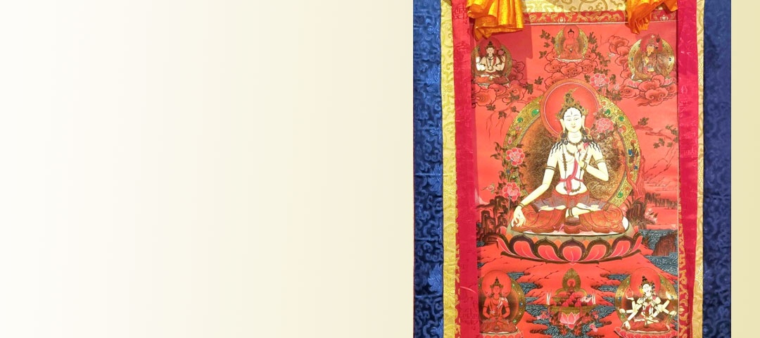 Master Qualité avec or